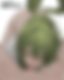 Subscribers-only post